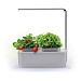 Компактный смарт-сад «iGarden LED» с подсветкой