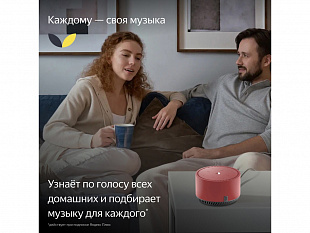 Умная колонка ЯНДЕКС Станция Лайт 5Вт, с Алисой